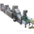 Machines de processus de fruits et de légumes